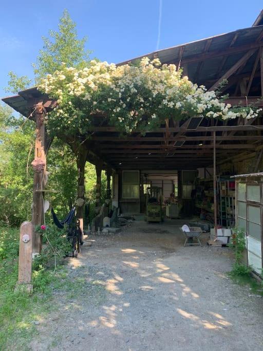 Apartamento Kleine Kunstremise Mit Holzofen Burg Freienfels Weinbach Exterior foto
