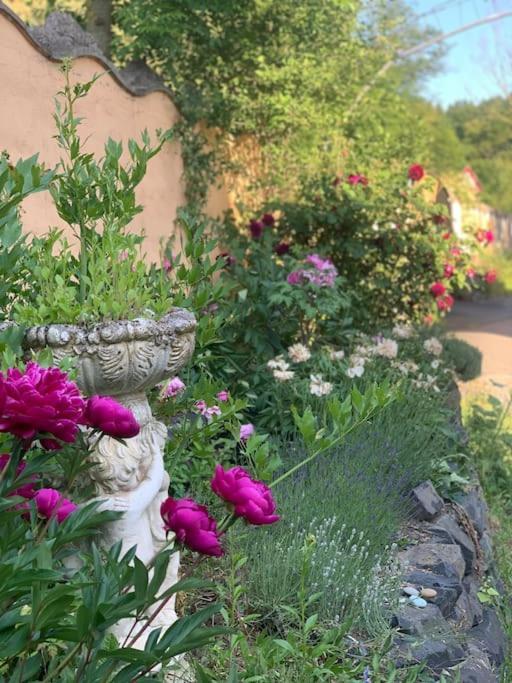Apartamento Kleine Kunstremise Mit Holzofen Burg Freienfels Weinbach Exterior foto
